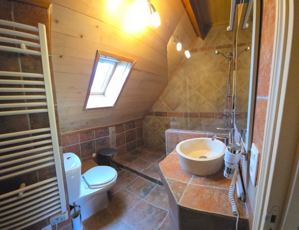 salle d'eau chambre 1